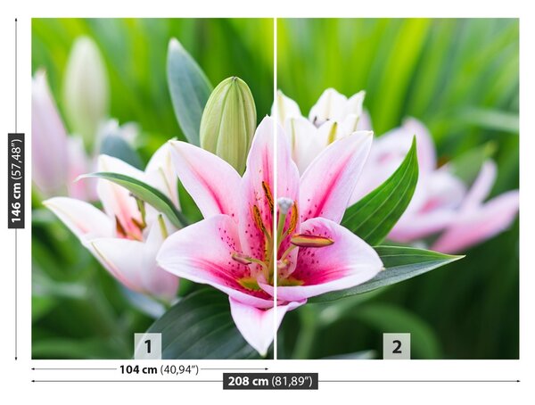 Fototapet Green Lily