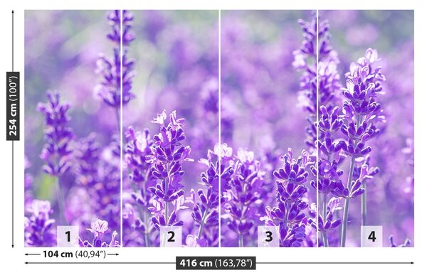 Fototapet Lavandă Purple