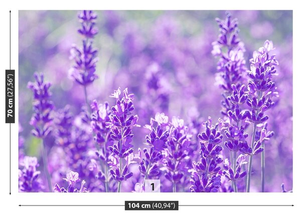 Fototapet Lavandă Purple