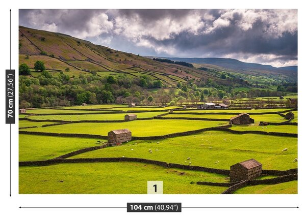 Fototapet Yorkshire Câmp