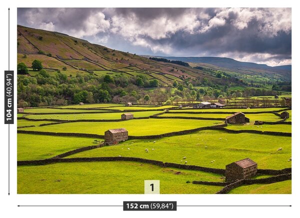 Fototapet Yorkshire Câmp