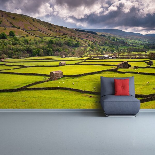 Fototapet Yorkshire Câmp