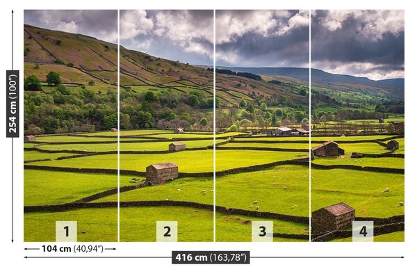 Fototapet Yorkshire Câmp