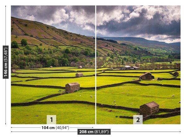 Fototapet Yorkshire Câmp