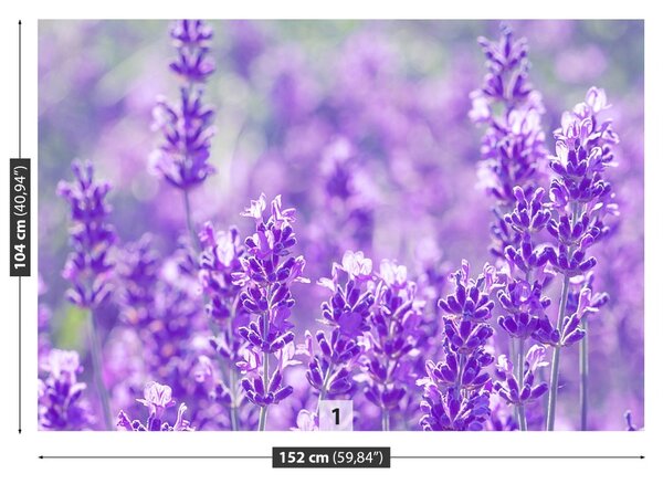 Fototapet Lavandă Purple