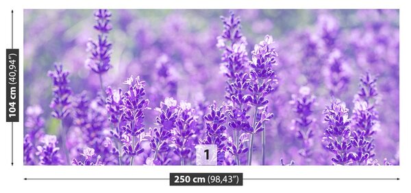 Fototapet Lavandă Purple