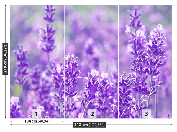 Fototapet Lavandă Purple