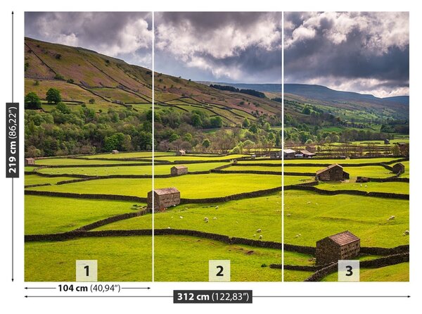 Fototapet Yorkshire Câmp