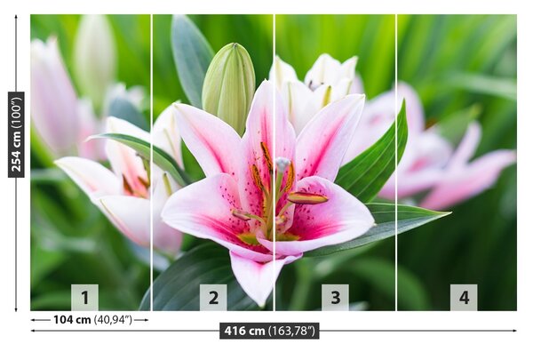 Fototapet Green Lily
