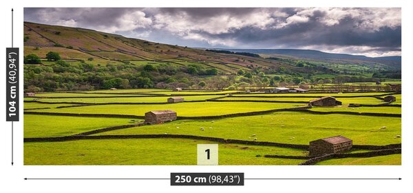 Fototapet Yorkshire Câmp