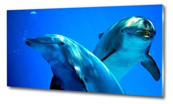 Tablou sticlă doi delfini