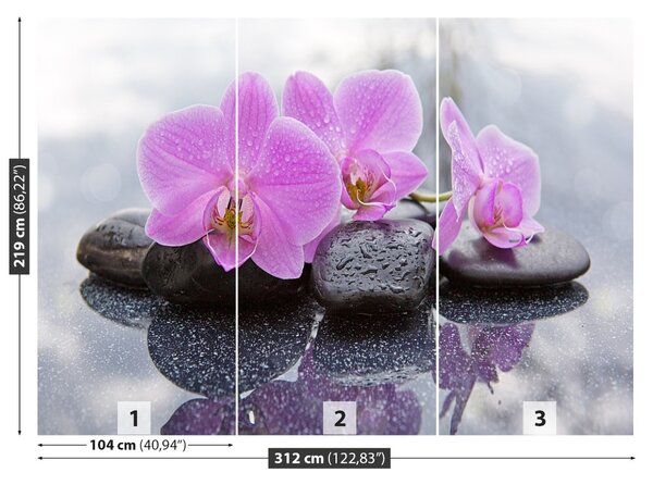 Fototapet Orchid Stones