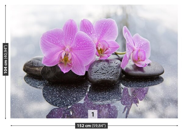 Fototapet Orchid Stones