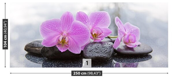 Fototapet Orchid Stones