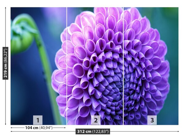 Fototapet Purple Dahlia