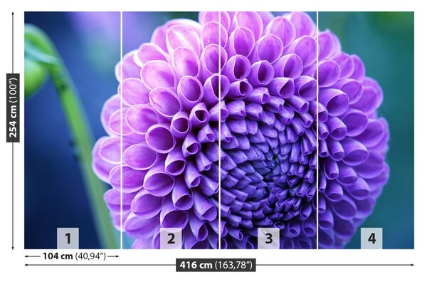 Fototapet Purple Dahlia