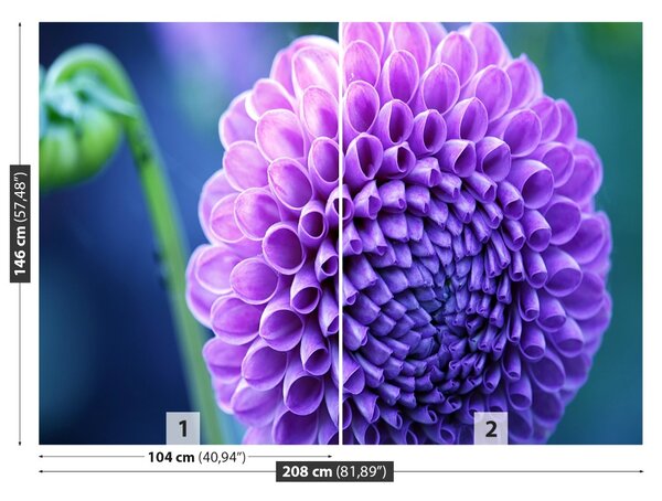 Fototapet Purple Dahlia