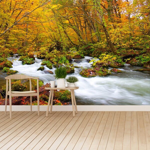 Fototapet River în Japonia
