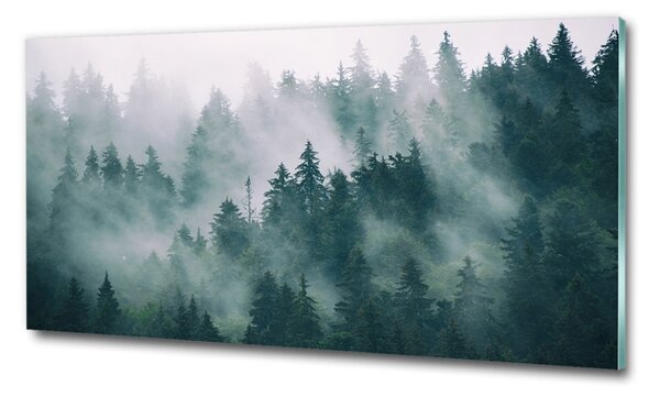 Tablou Printat Pe Sticlă Ceață peste pădure