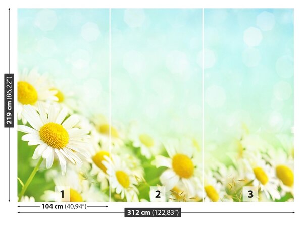 Fototapet Albastru muşeţel