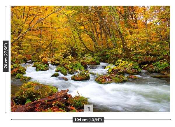Fototapet River în Japonia