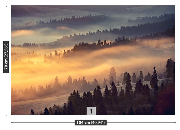 Fototapet Montan Pădurea