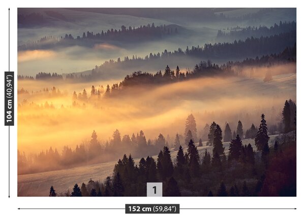 Fototapet Montan Pădurea