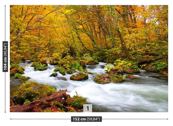 Fototapet River în Japonia