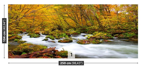 Fototapet River în Japonia