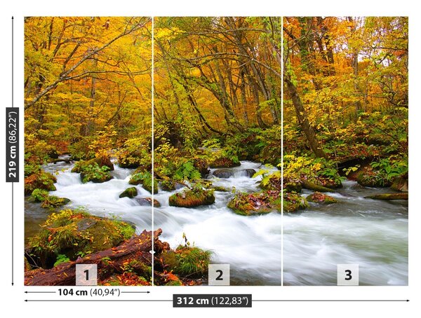 Fototapet River în Japonia