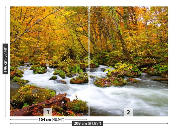 Fototapet River în Japonia