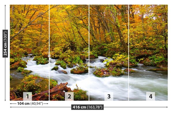 Fototapet River în Japonia