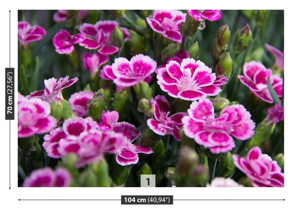 Fototapet Flori roz