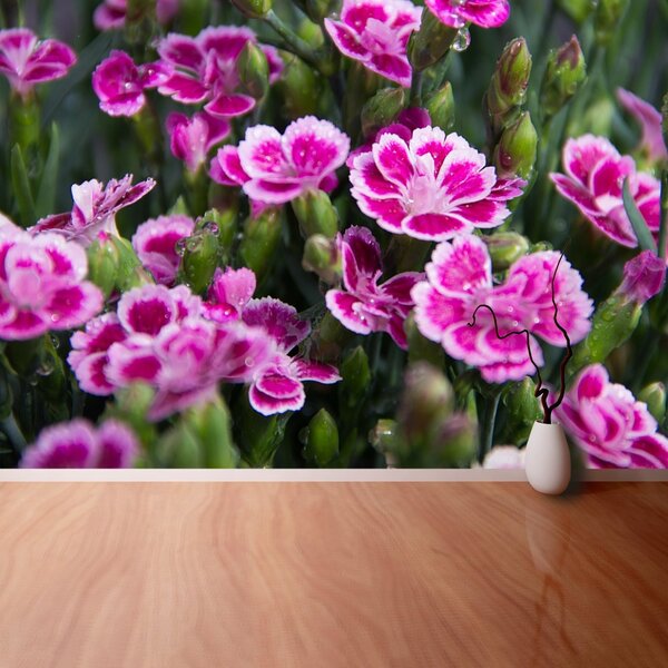 Fototapet Flori roz