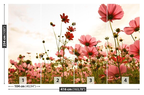 Fototapet Cosmos Flori