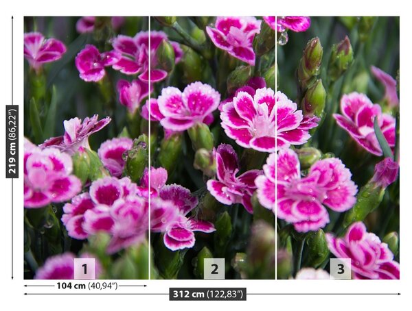 Fototapet Flori roz