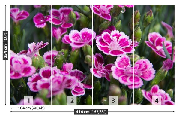 Fototapet Flori roz