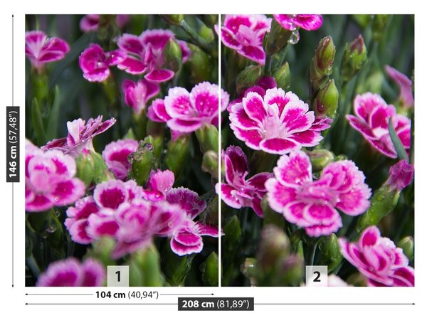 Fototapet Flori roz