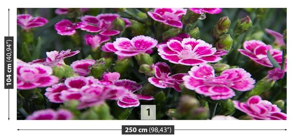 Fototapet Flori roz