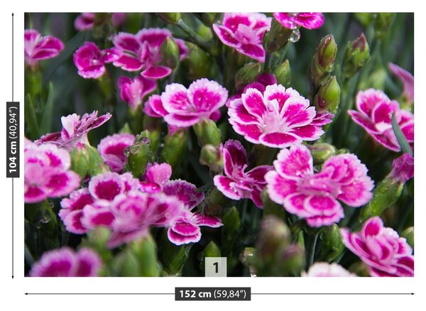 Fototapet Flori roz