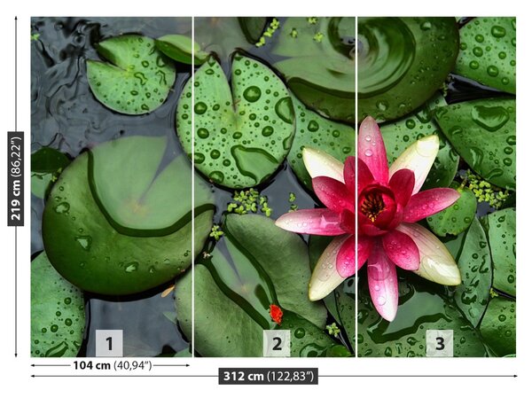 Fototapet Lotos Pond