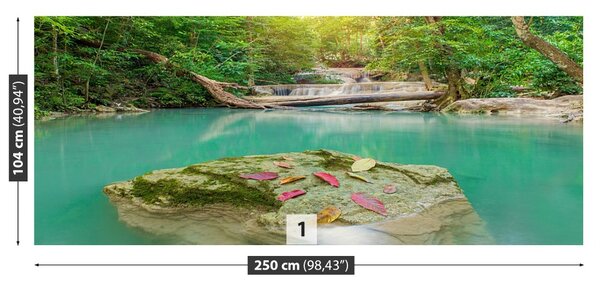 Fototapet Padure adanca