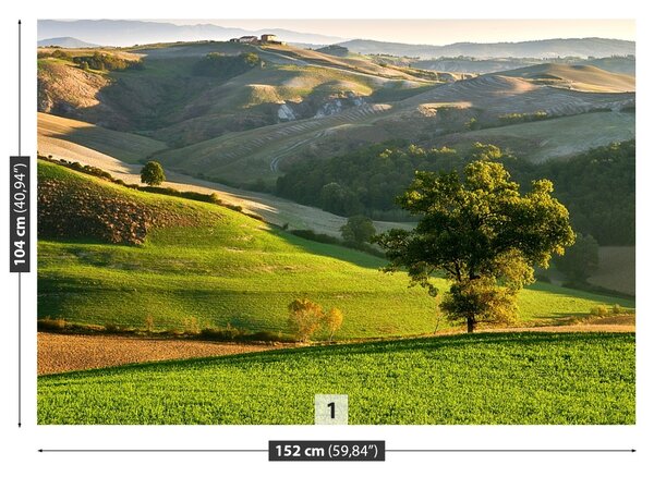 Fototapet Toscana