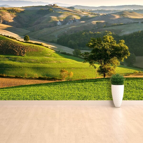 Fototapet Toscana