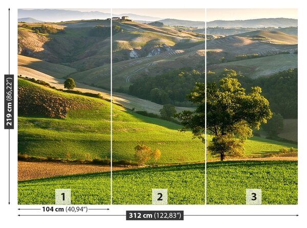 Fototapet Toscana