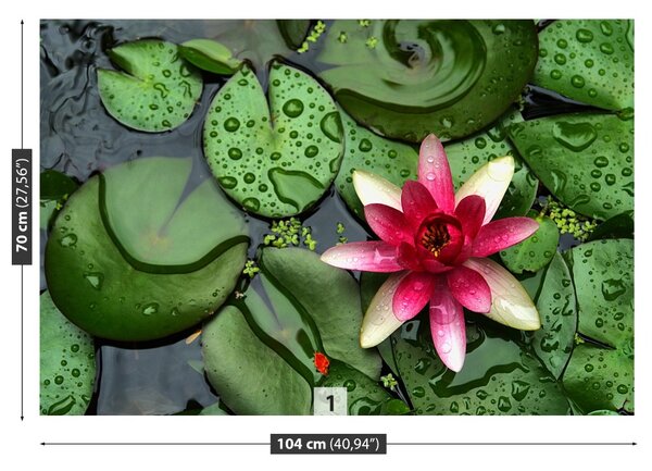 Fototapet Lotos Pond