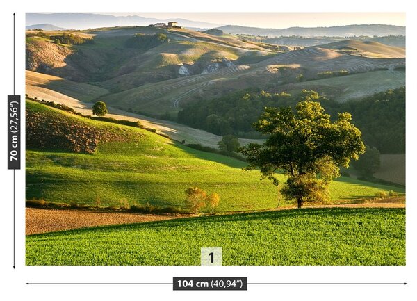 Fototapet Toscana