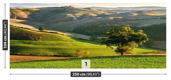 Fototapet Toscana
