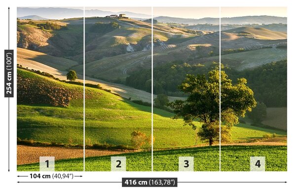 Fototapet Toscana