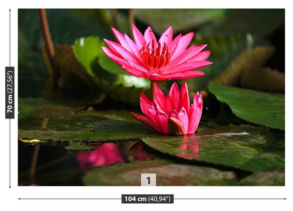 Fototapet Lotos Pond